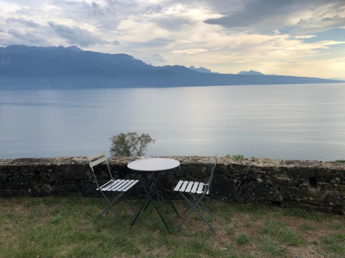 Room With 360° View Overlooking Lake Geneva And Alps Puidoux Exterior photo